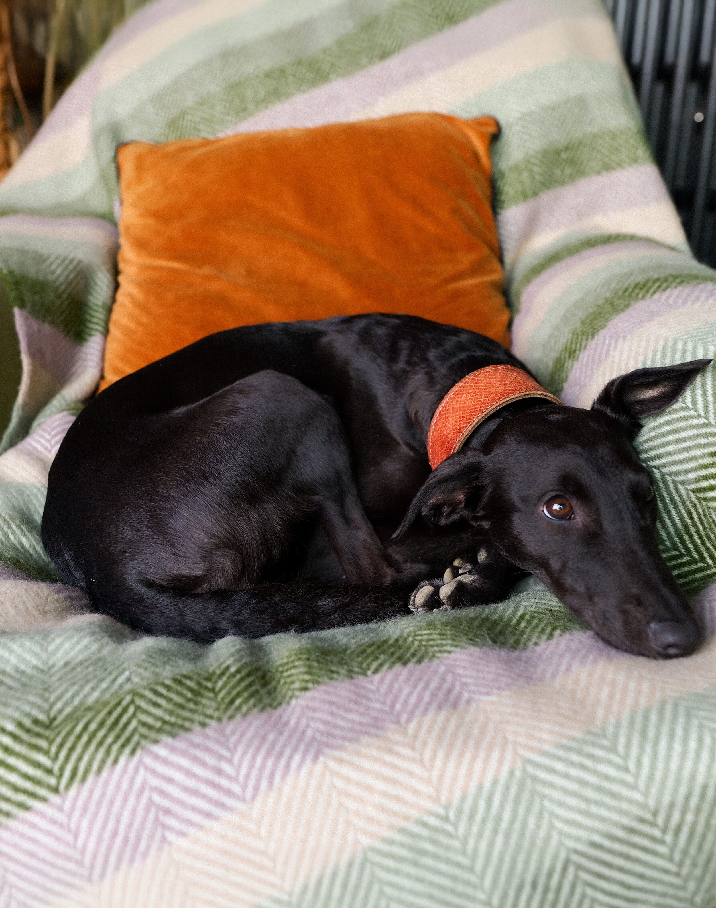 Brora Pure Wool Herringbone Stripe Rug Botanical stripe